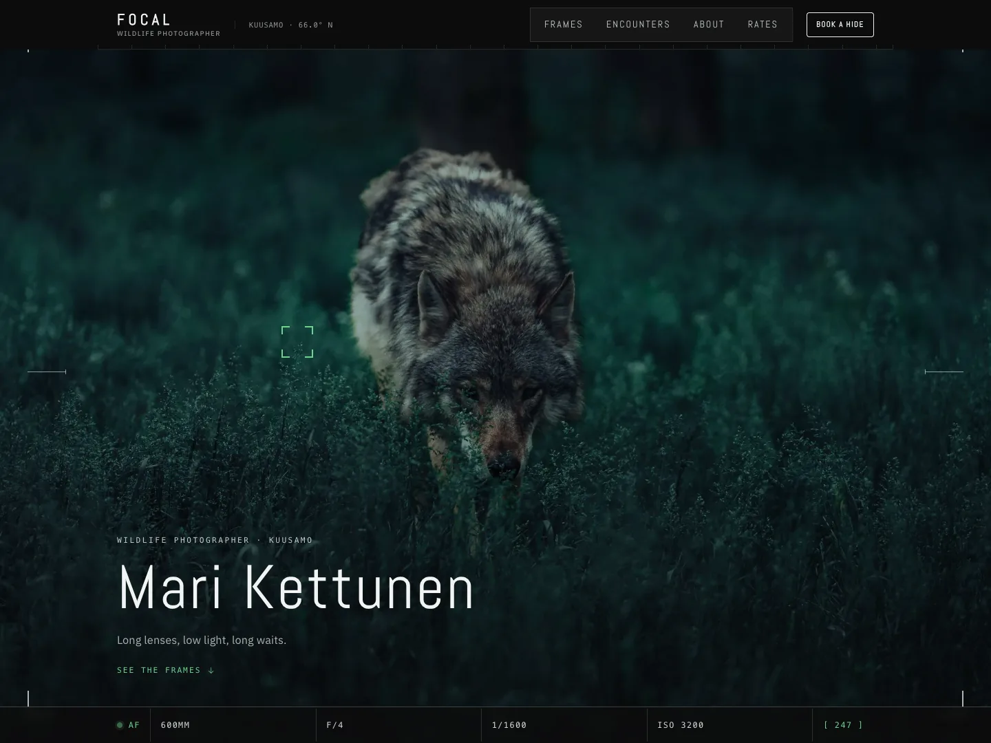 Focal - a photography template